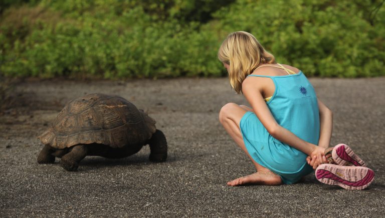 kids and tortoises in the galapagos